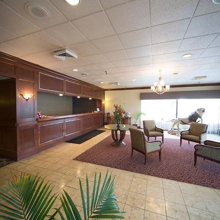 Boarders Inn And Suites - Marion Luaran gambar